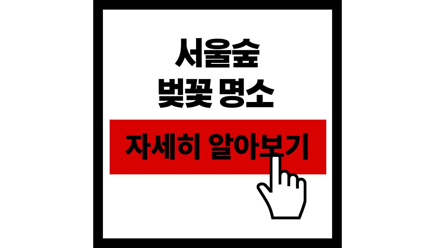 2026 서울숲 벚꽃 명소 완벽 가이드 | 개화 시기, 주차 꿀팁, 인생샷 스팟 TOP 3