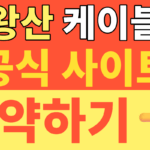 썸네일 – 발왕산 케이블카 시간 및 이용 요금 주차정보 총정리! 2026년 할인 꿀팁과 스카이워크 인생샷 명당까지