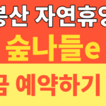 썸네일 – 2026 무봉산 자연휴양림 예약 성공 꿀팁! 숲나들e 숲속의집 요금 및 명당자리 (평택 근교 힐링 캠핑장)